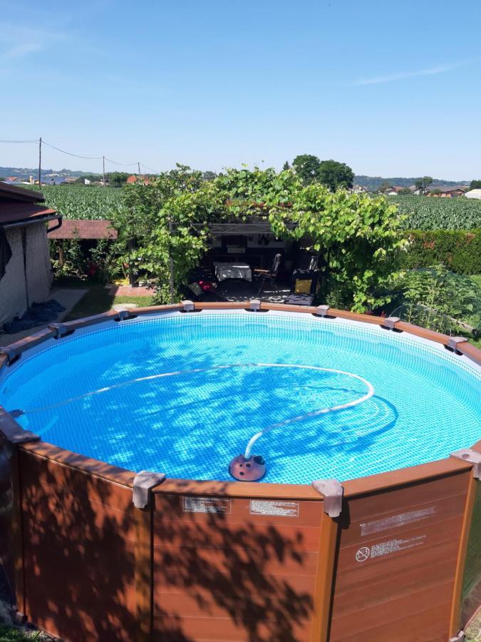Apartments Isabella Птуй Экстерьер фото